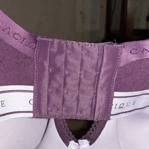 Cacique Intimates & Sleepwear - Cacique Cotton Lightly Lined T-Shirt Bra Cacique Intimates & Sleepwear - Cacique Cotton Lightly Lined T-Shirt Bra